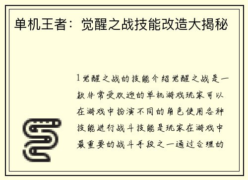 单机王者：觉醒之战技能改造大揭秘